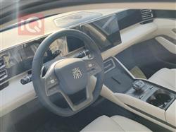 بي واي دي كوين L DM-i